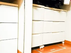 写真:タンスのこやし